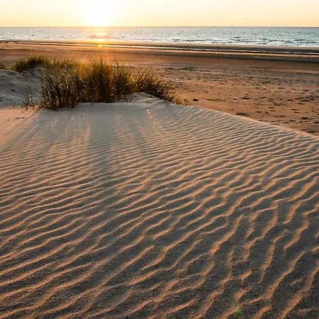 Retro With Sleeping Area